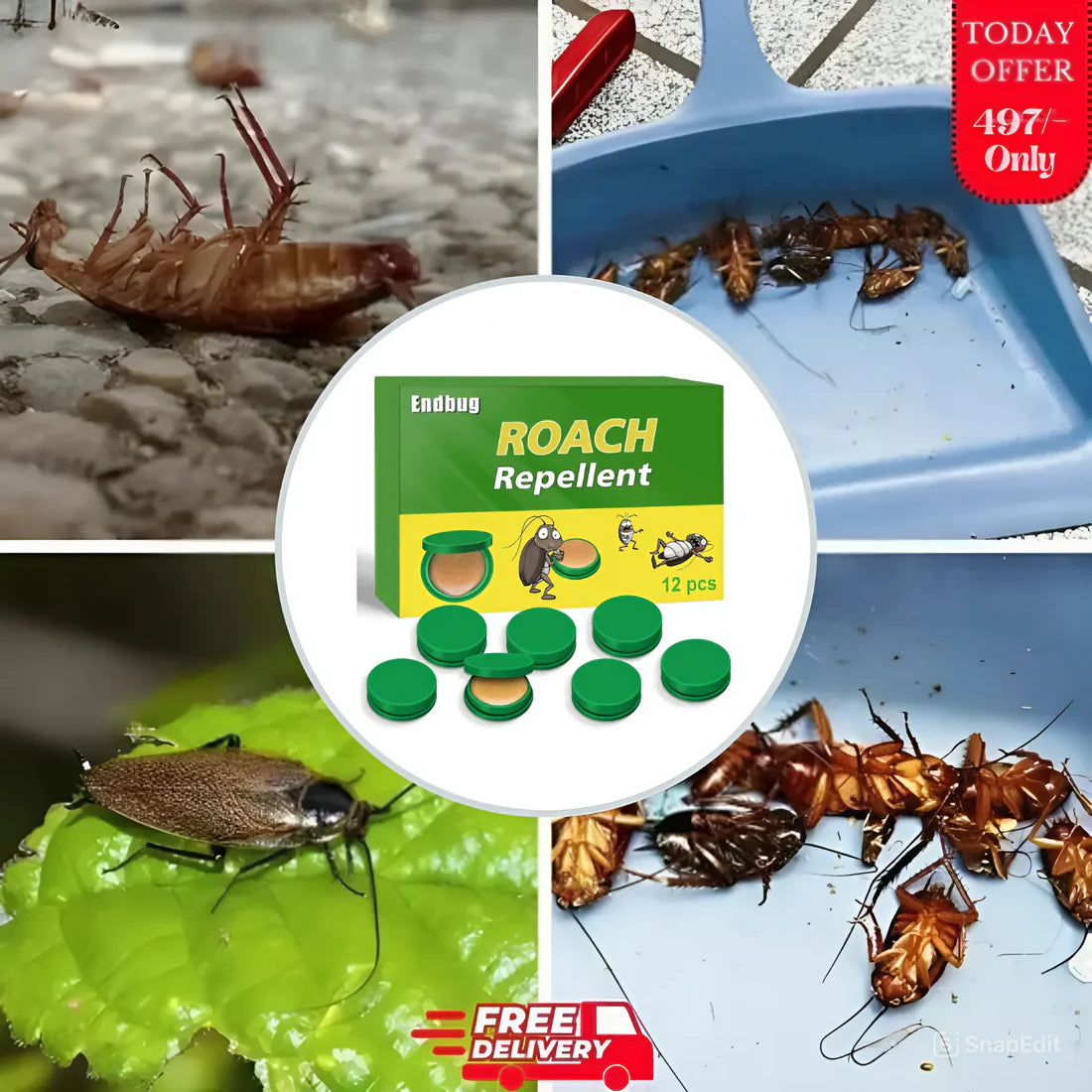 COCKROACH KILLER GEL | 🔥FLAT 50% OFF SAVING🔥